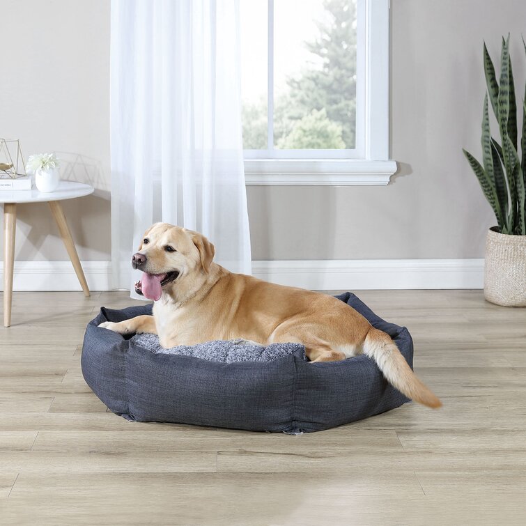 Wayfair dog outlet beds